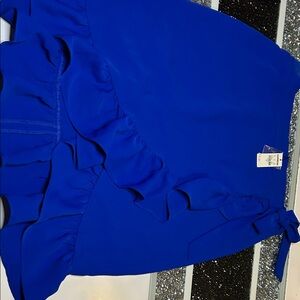 Express Royal Blue Sheath Skirt